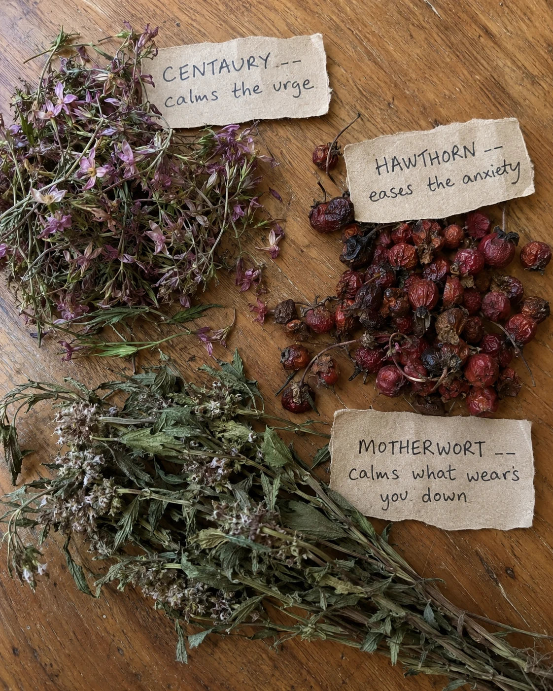 Centaury, Hawthorn Berry, and Motherwort herbs laid out with handwritten labels