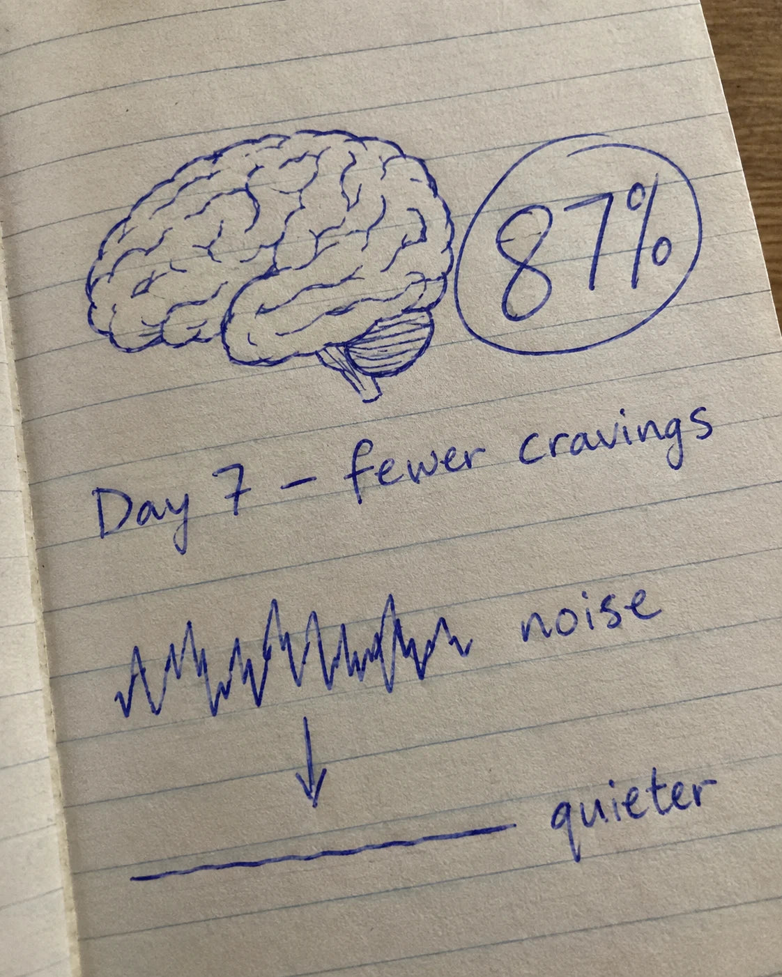 Handwritten journal page showing a brain sketch and 87 percent fewer cravings, day 7