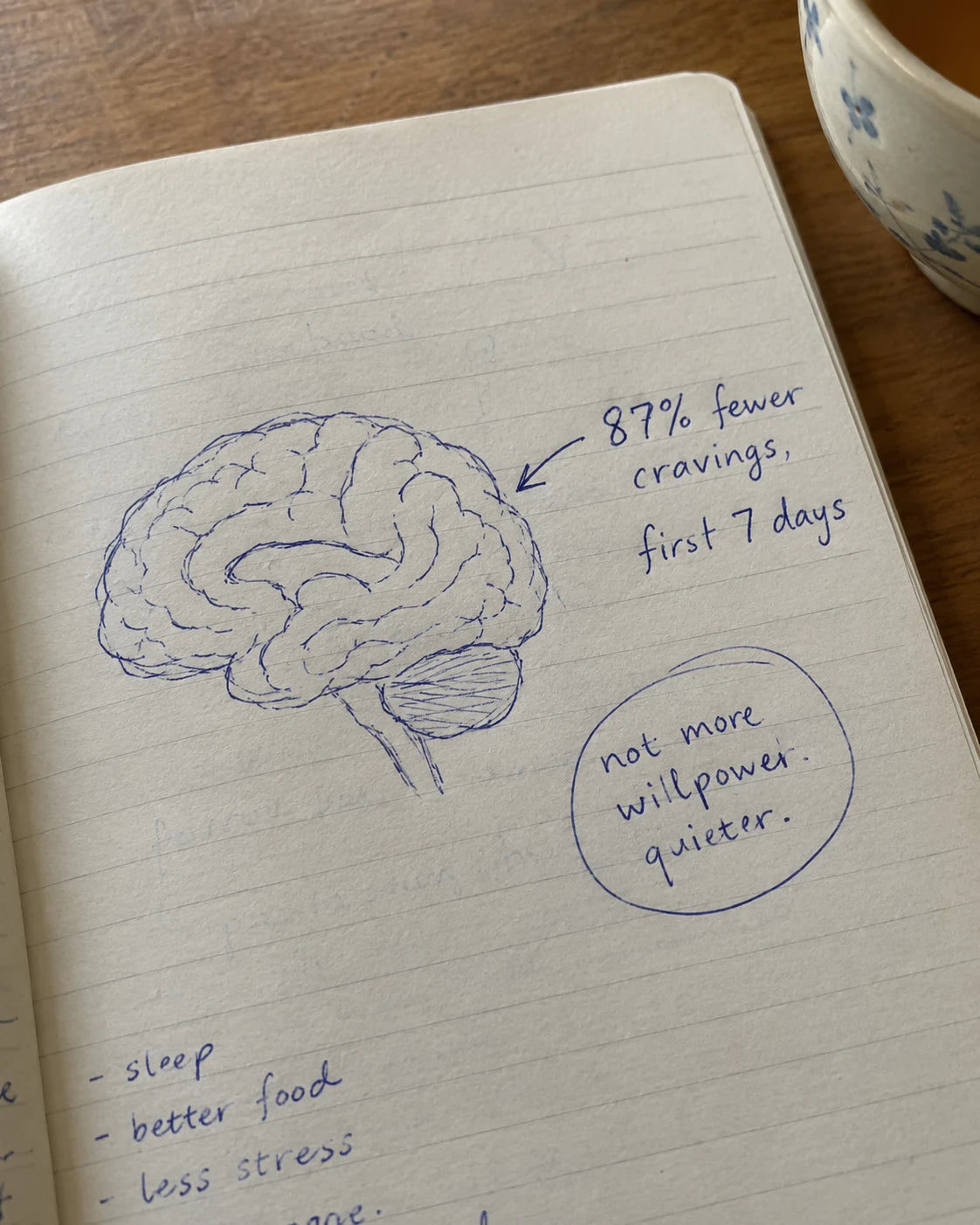 Handwritten journal page showing a brain sketch and 87 percent fewer cravings in the first 7 days