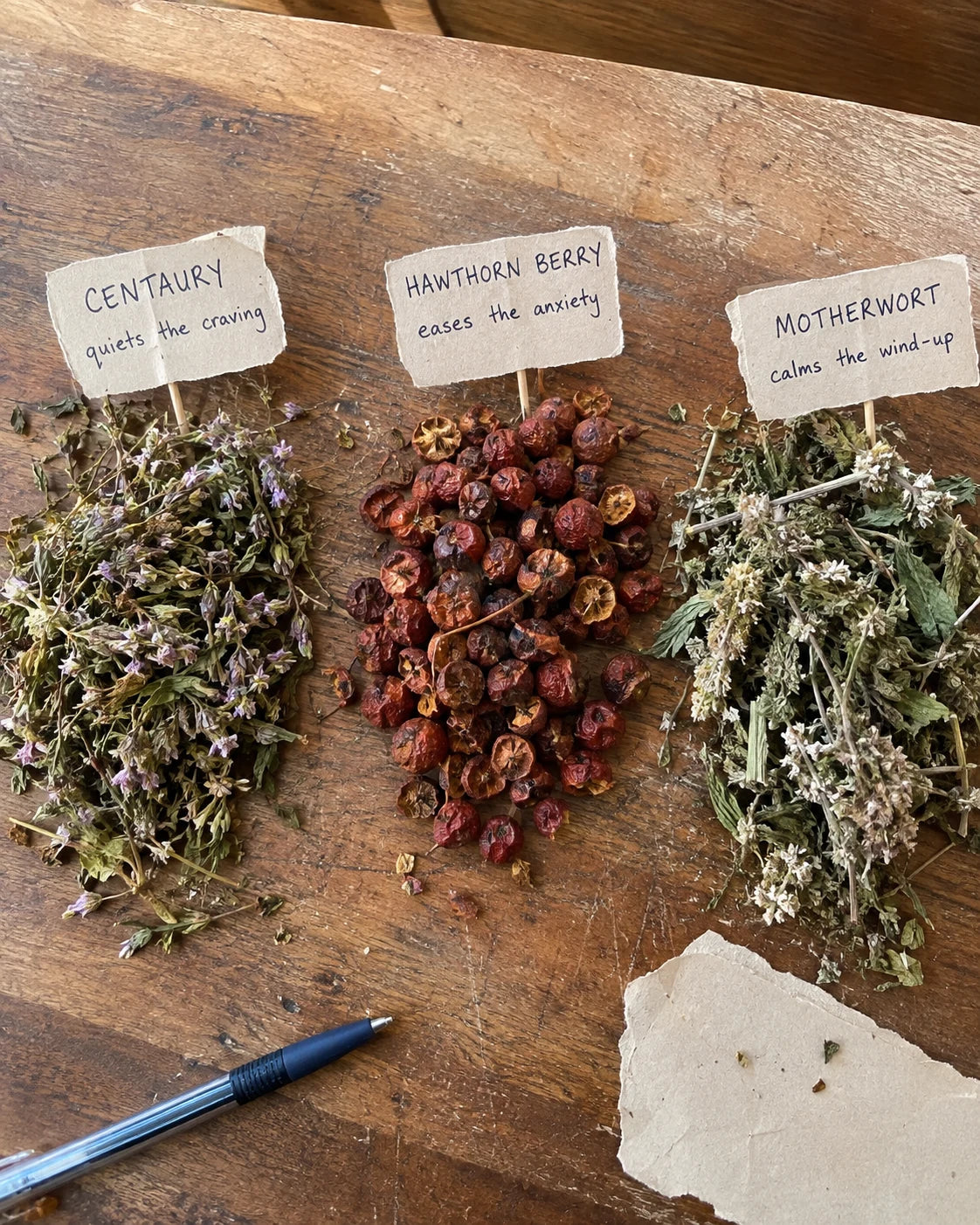 Centaury, Hawthorn Berry, and Motherwort herbs laid out with handwritten labels