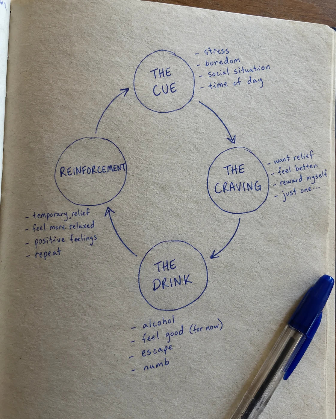 Hand-drawn diagram of the craving loop: cue, craving, drink, reinforcement
