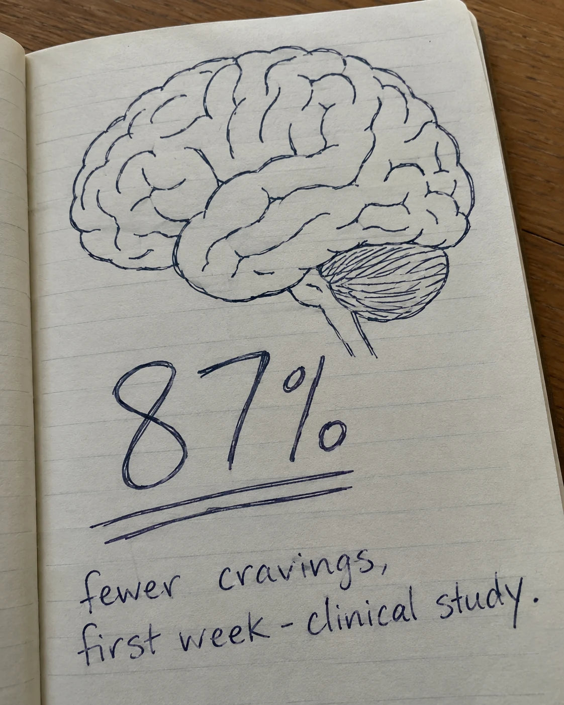 Handwritten journal page showing a brain sketch and 87 percent fewer cravings, first week, clinical study