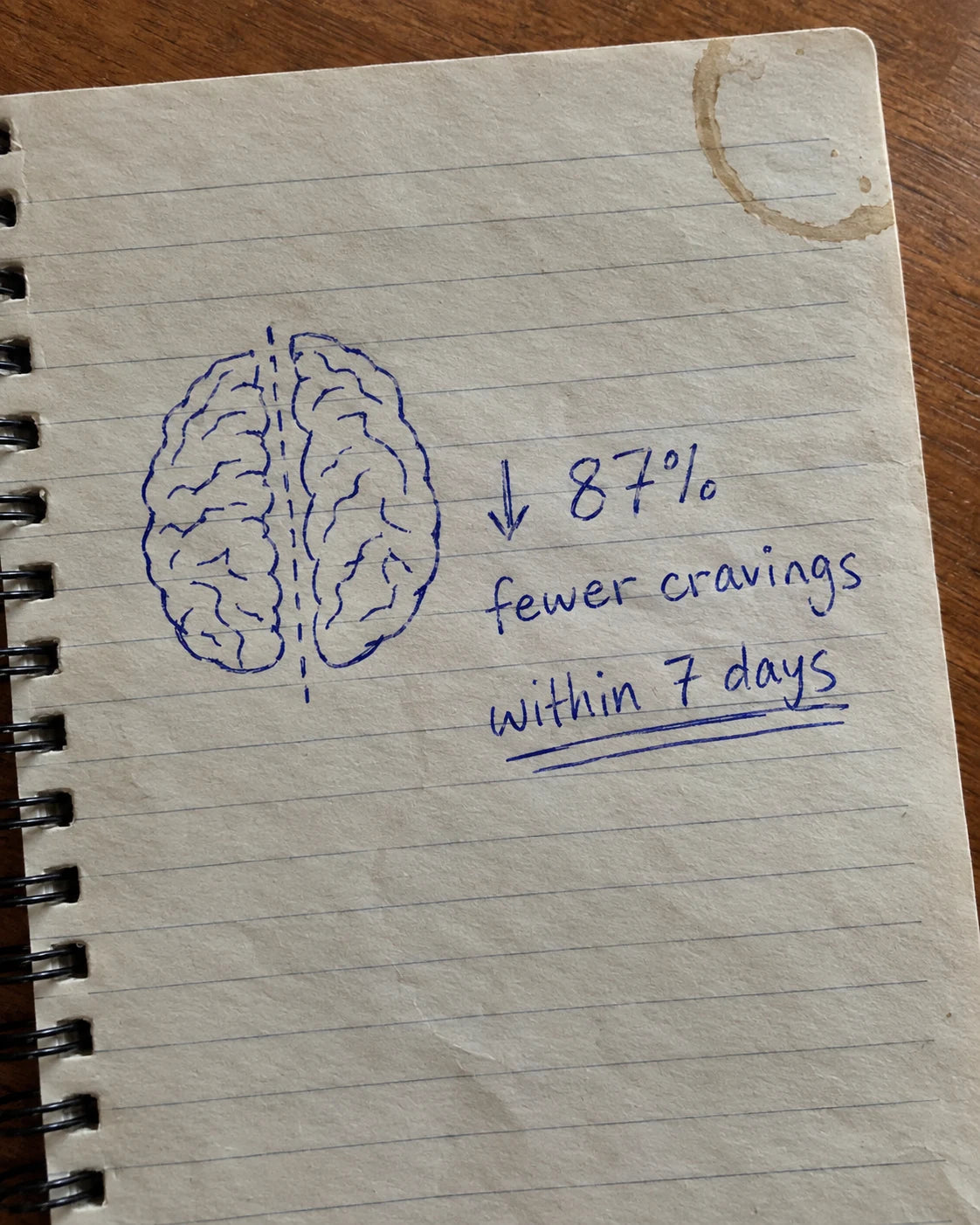 Handwritten journal page showing a brain sketch and 87% fewer cravings within 7 days