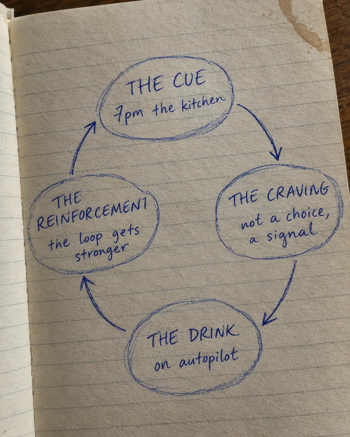 Handwritten journal page diagram of the craving loop: cue, craving, drink, reinforcement