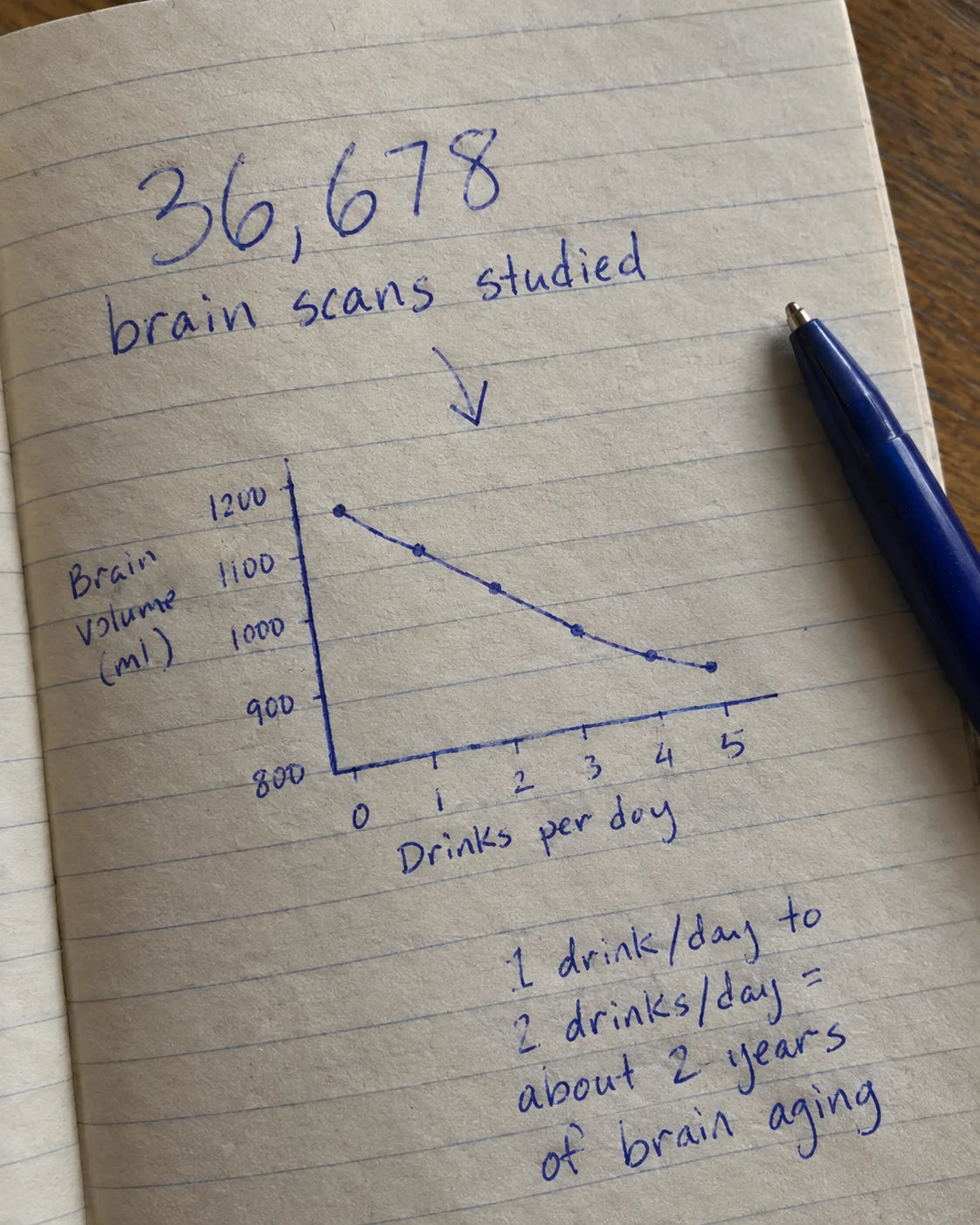 Handwritten journal page showing 36,678 brain scans studied and a graph of brain volume decreasing as drinks per day increase