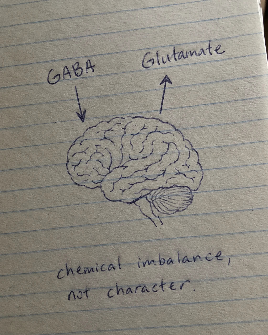 Handwritten journal page diagram showing GABA down and Glutamate up on a brain sketch, labeled chemical imbalance not character