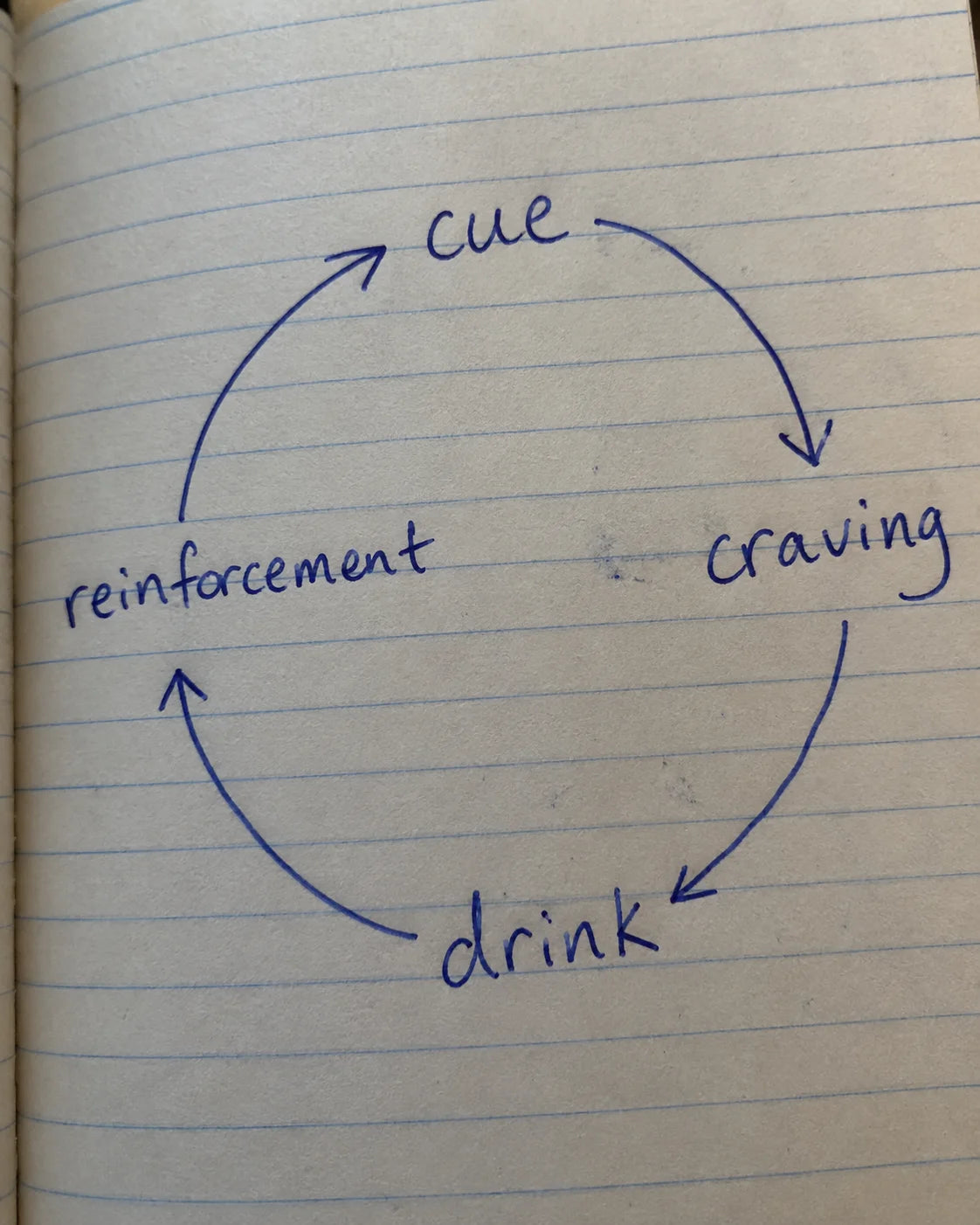 Hand-drawn diagram of the craving loop
