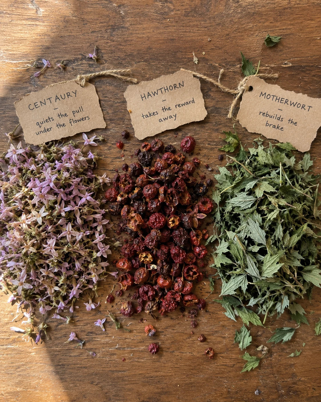 Centaury, Hawthorn Berry, and Motherwort laid out on a wooden table with handwritten kraft-paper tags describing each plant's job