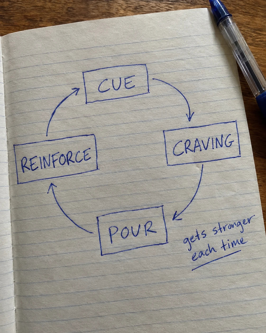 Hand-drawn journal diagram of the craving loop: cue, craving, pour, reinforce