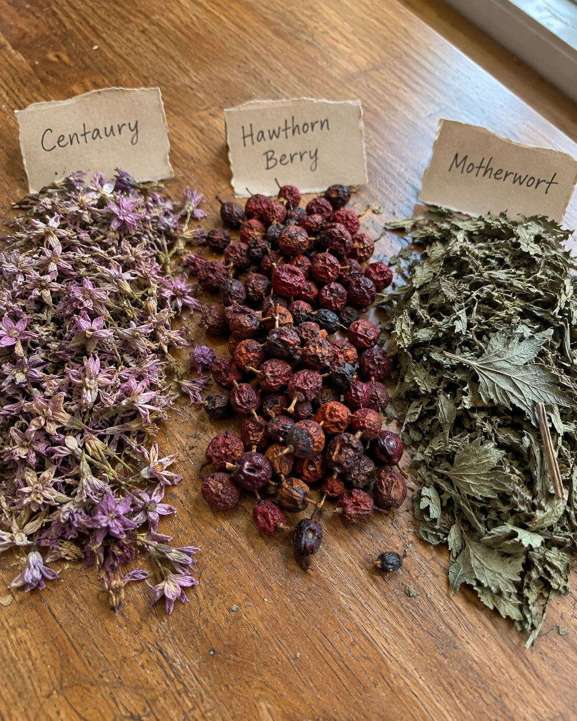 Centaury, Hawthorn Berry, and Motherwort herbs laid out with handwritten labels