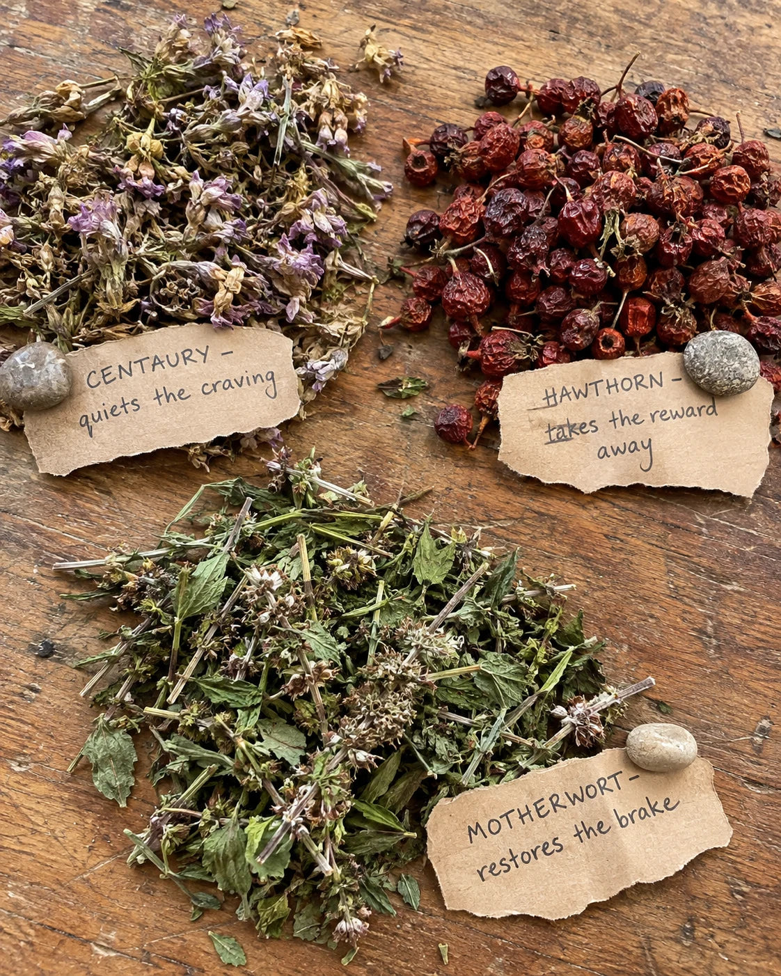 Dried centaury, hawthorn, and motherwort laid out with handwritten labels