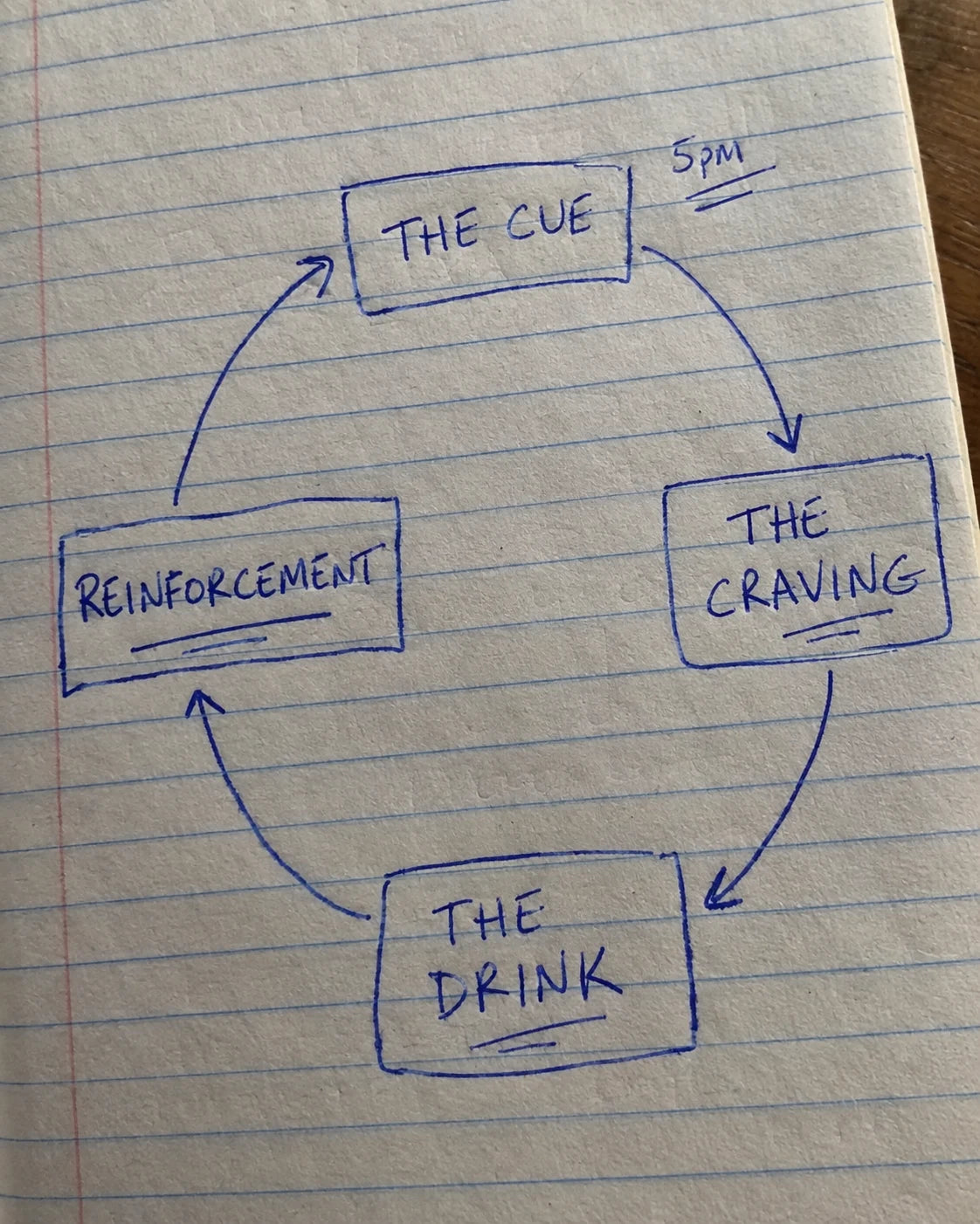 Handwritten notebook diagram of the cue, craving, drink, reinforcement craving loop