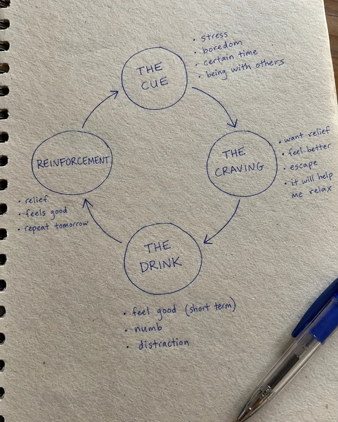 Handwritten notebook diagram of the cue, craving, drink, reinforcement craving loop
