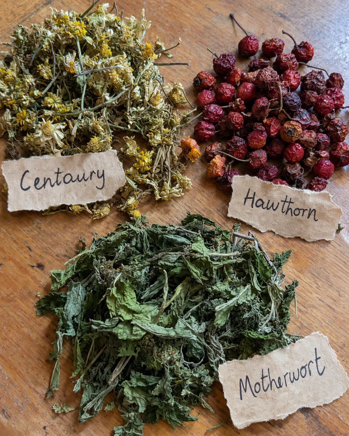 Centaury, Hawthorn, and Motherwort laid out with handwritten tags