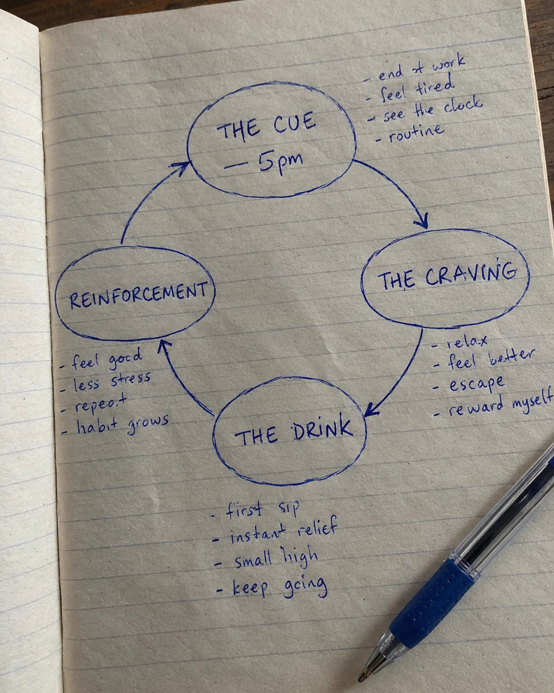 Handwritten notebook diagram of the craving loop cycle: the cue at 5pm, the craving, the drink, reinforcement