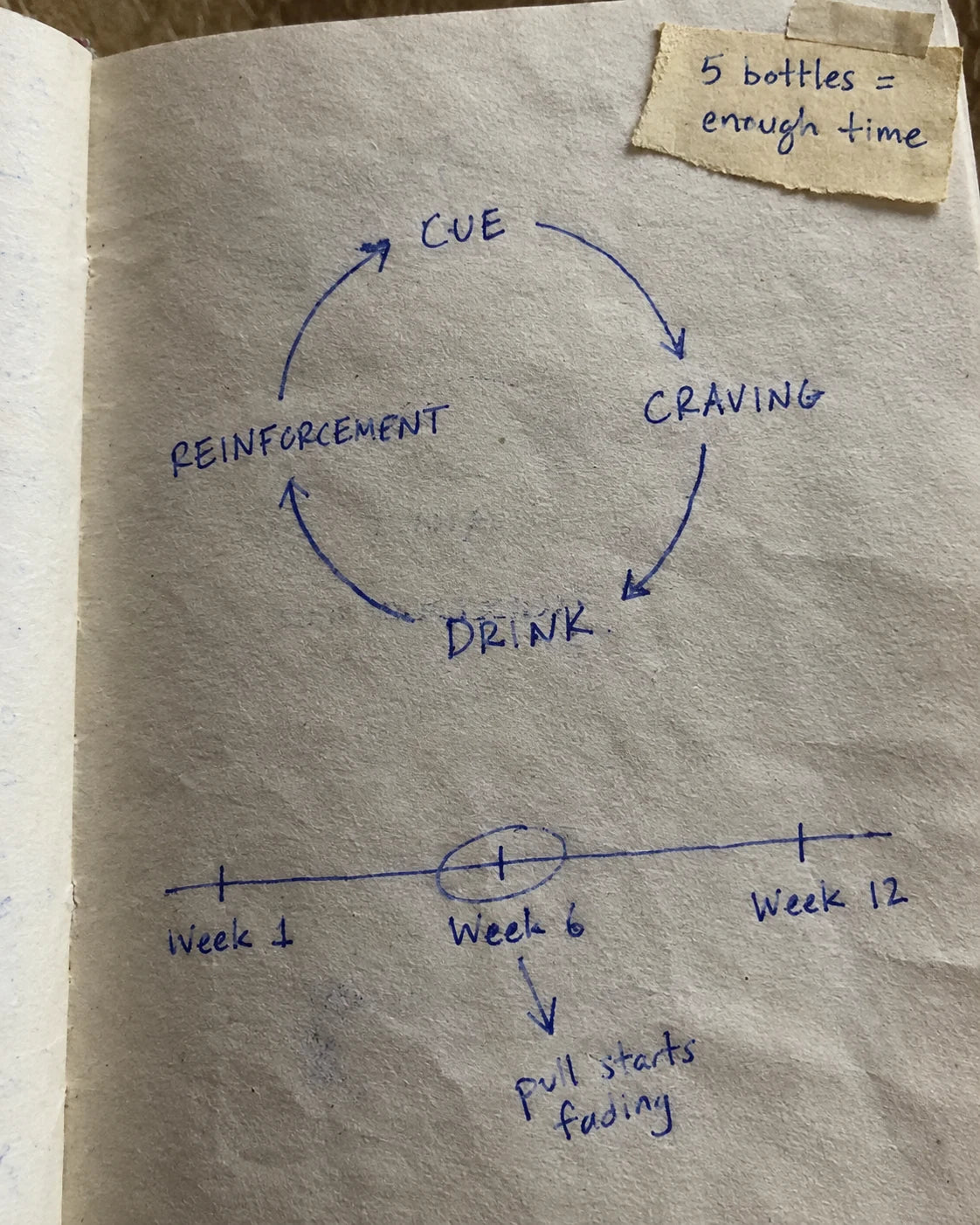 Handwritten journal page showing the craving loop and a six-week timeline
