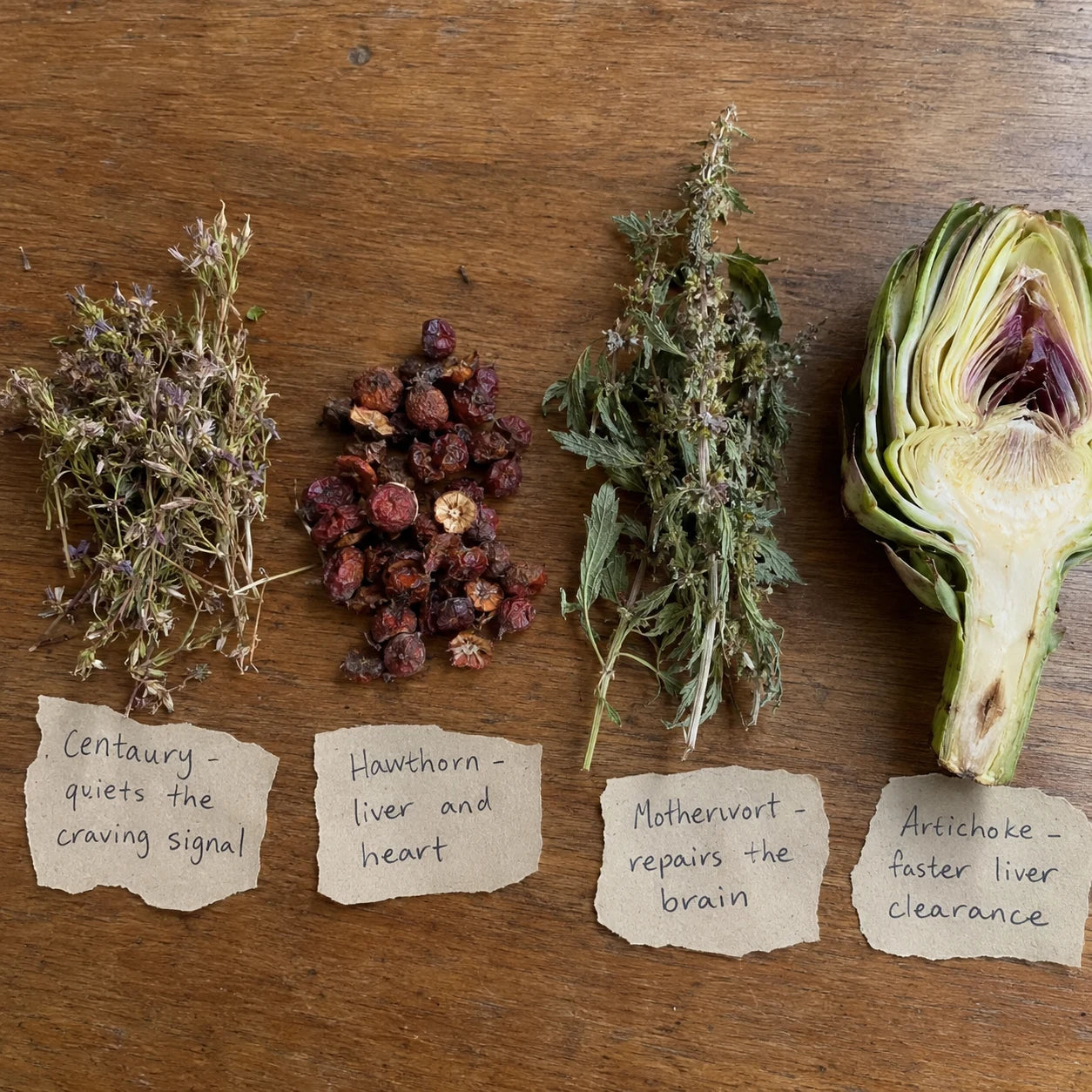 Centaury, Hawthorn Berry, Motherwort, and Artichoke laid out with handwritten labels