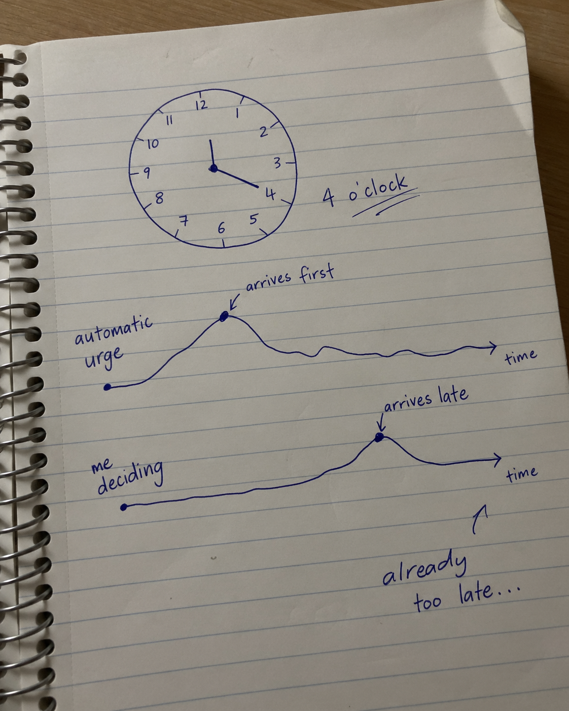 Timeline diagram