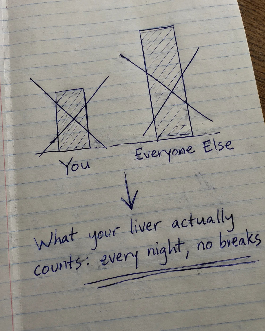 Handwritten notebook diagram: You vs Everyone Else crossed out, what your liver actually counts is every night, no breaks