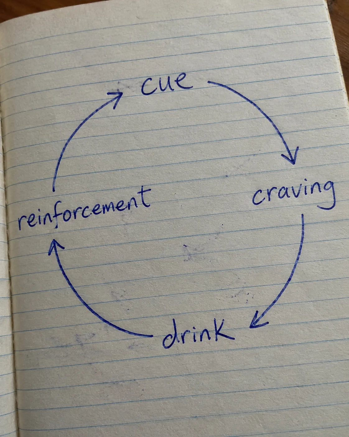 Hand-drawn craving loop diagram on a notebook page: cue, craving, drink, reinforcement