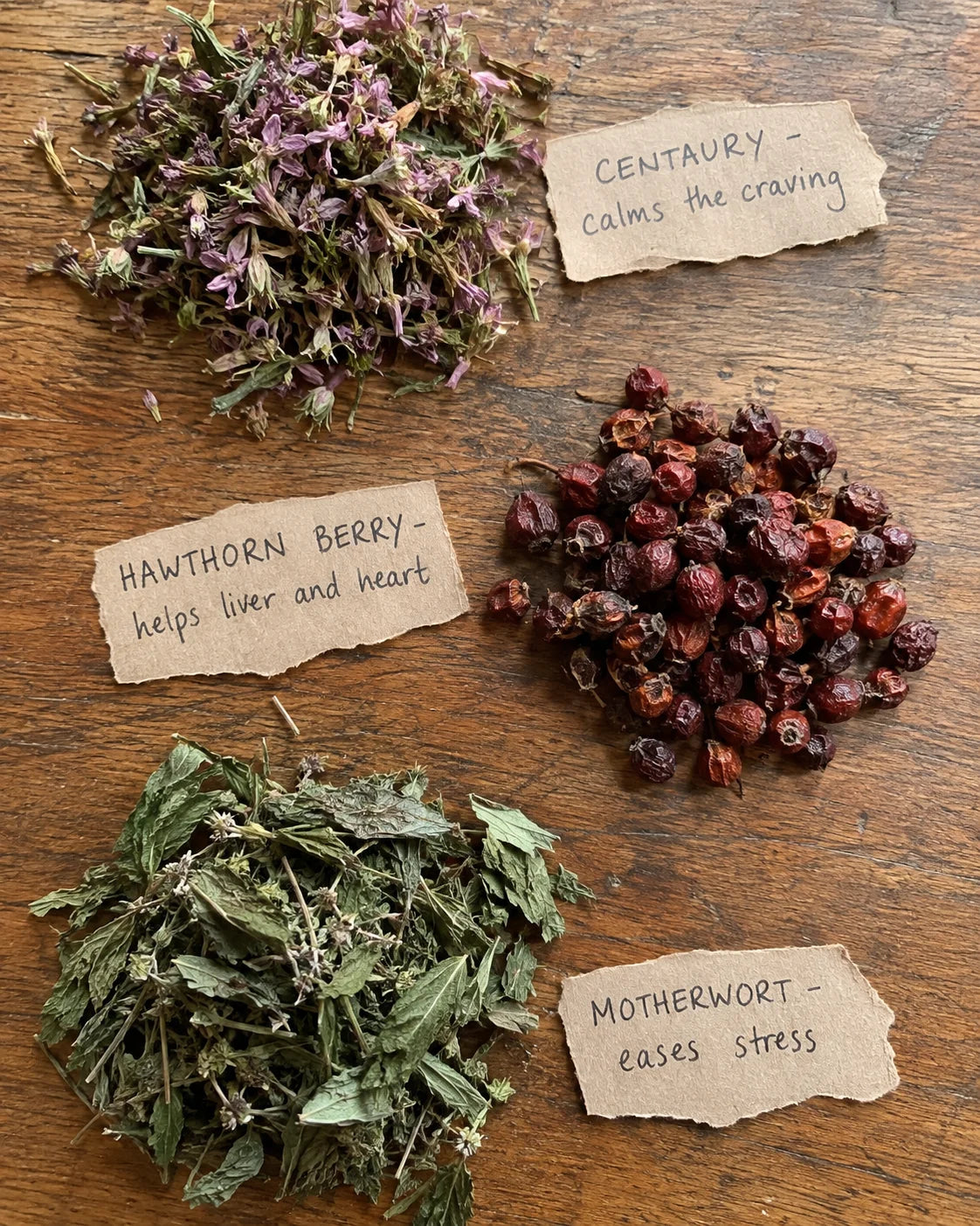 Real Centaury, Hawthorn Berry, and Motherwort laid out on a wooden table with handwritten labels