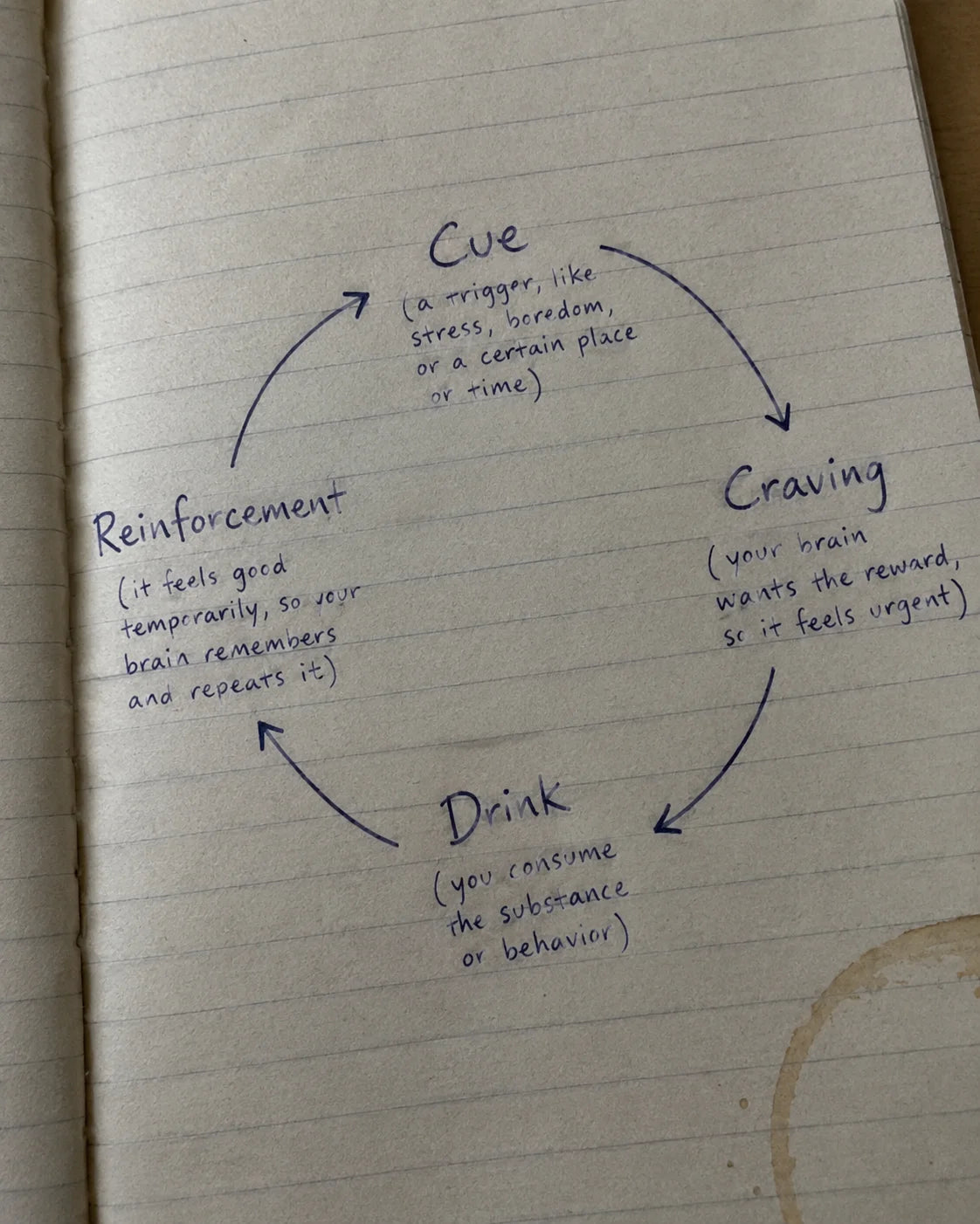 Handwritten notebook diagram of the cue, craving, drink, reinforcement loop