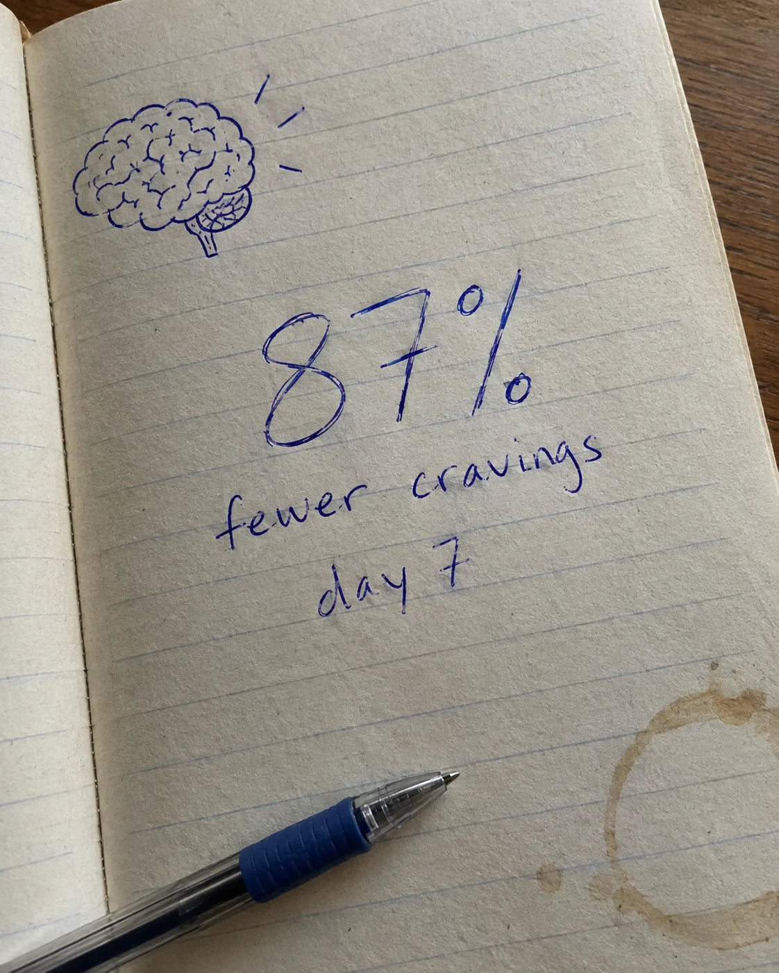Handwritten journal page showing a brain sketch and 87 percent fewer cravings, day 7