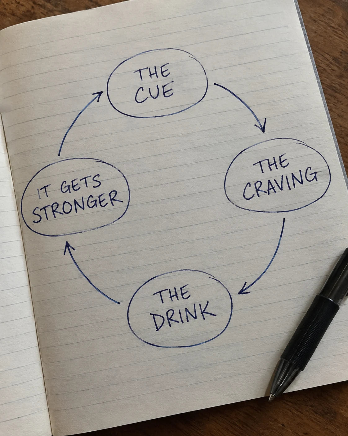 Handwritten notebook diagram of the cue, craving, drink, reinforcement craving loop