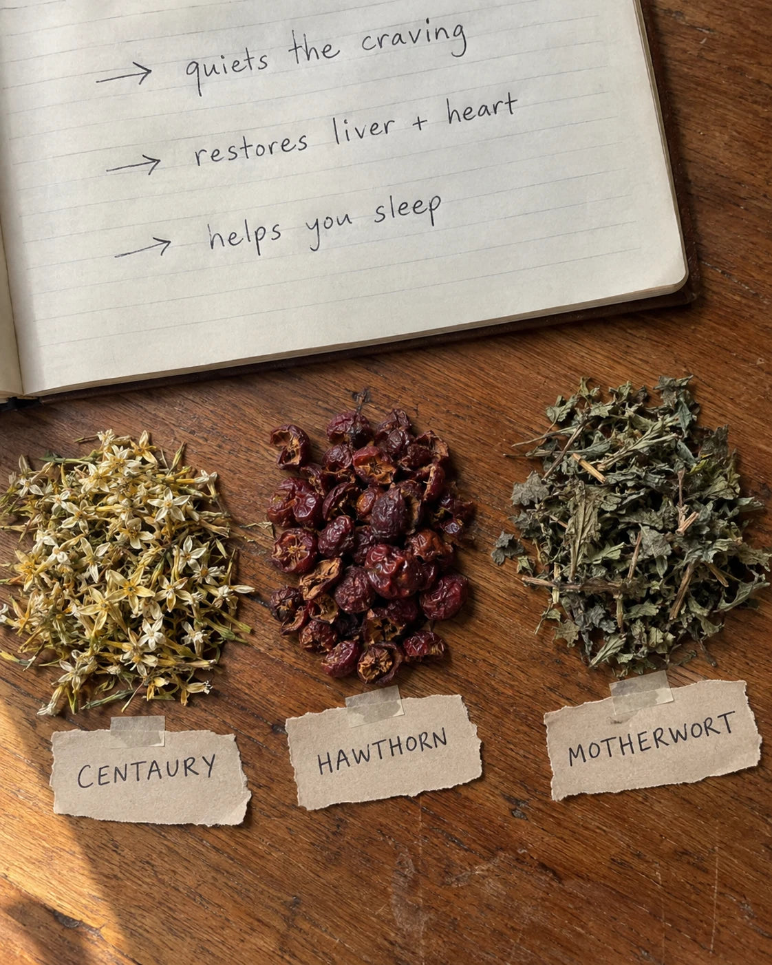 Centaury, Hawthorn, and Motherwort laid out on a table with handwritten torn-paper tags and a notebook listing their jobs