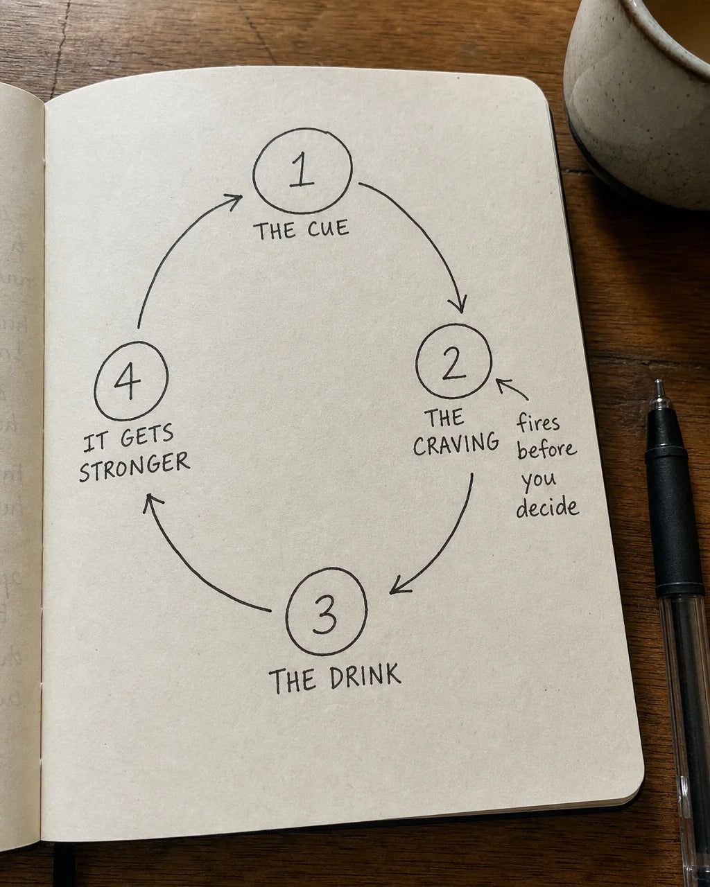 Handwritten journal diagram of the cue, craving, drink, reinforcement craving loop