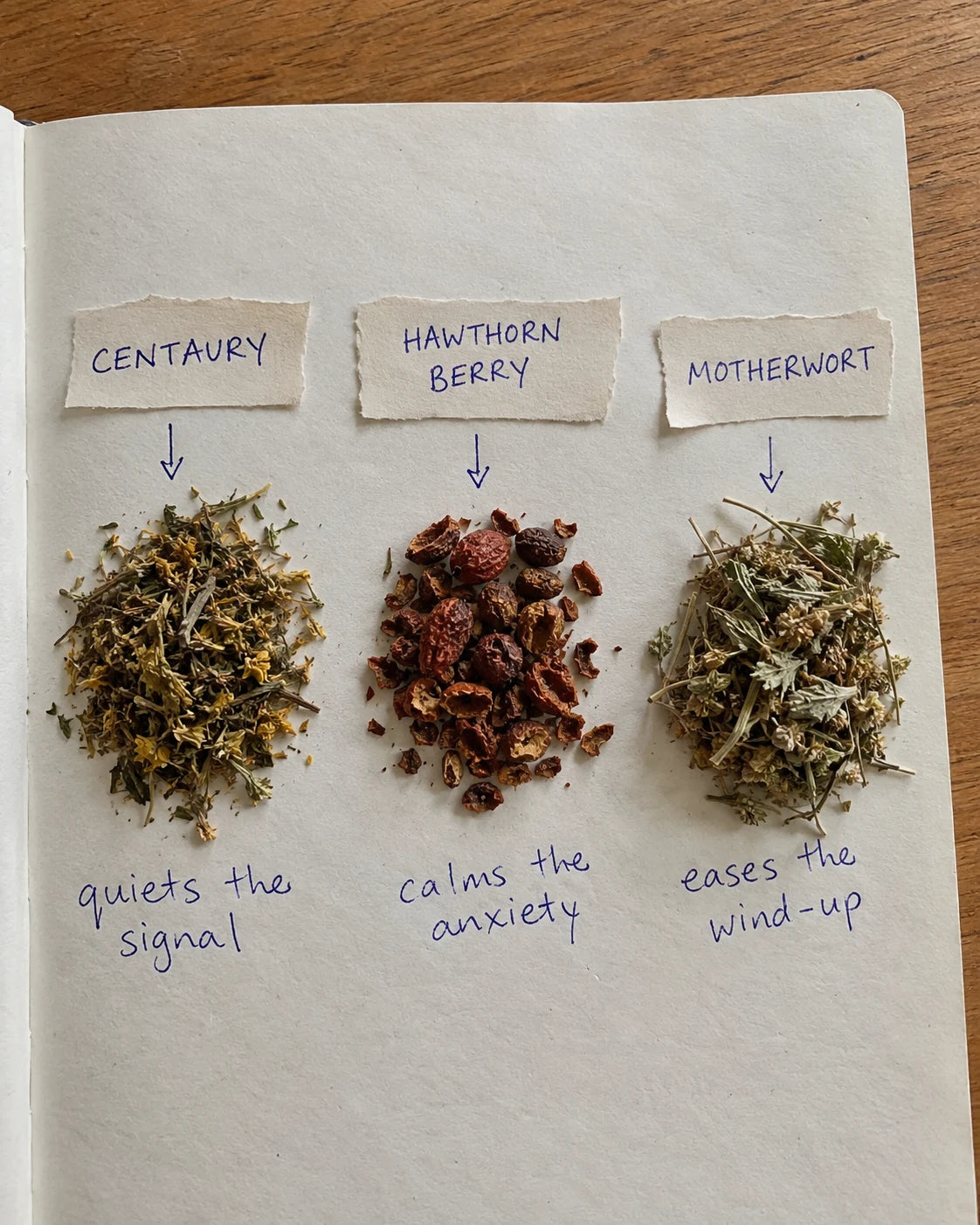 Centaury, Hawthorn Berry, and Motherwort herbs laid out with handwritten labels