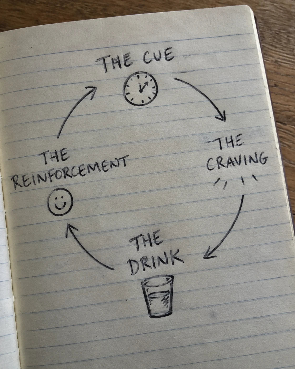 Handwritten notebook diagram of the cue, craving, drink, reinforcement craving loop