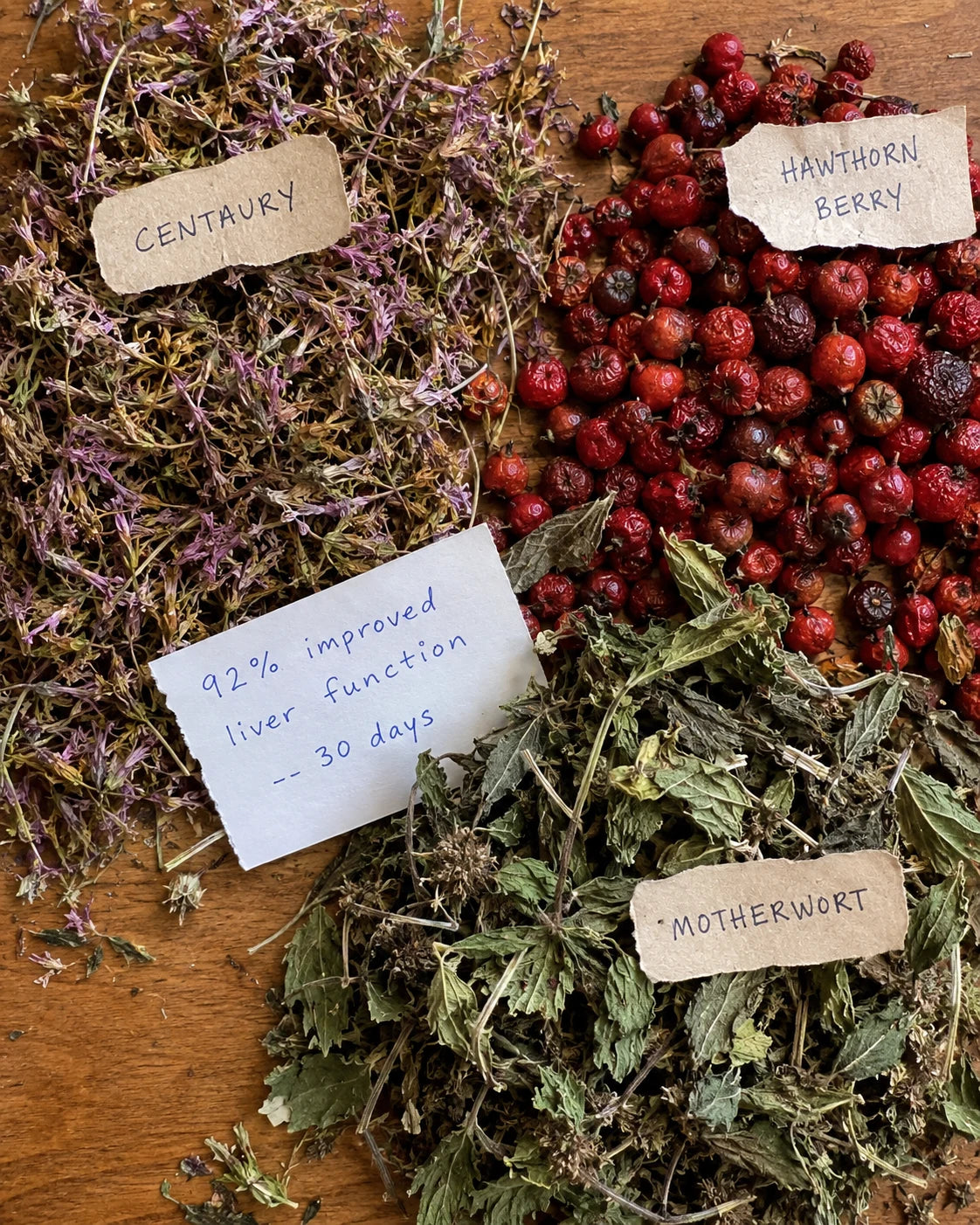 Centaury, Hawthorn Berry, and Motherwort laid out with handwritten tags and a 92 percent improved liver function note