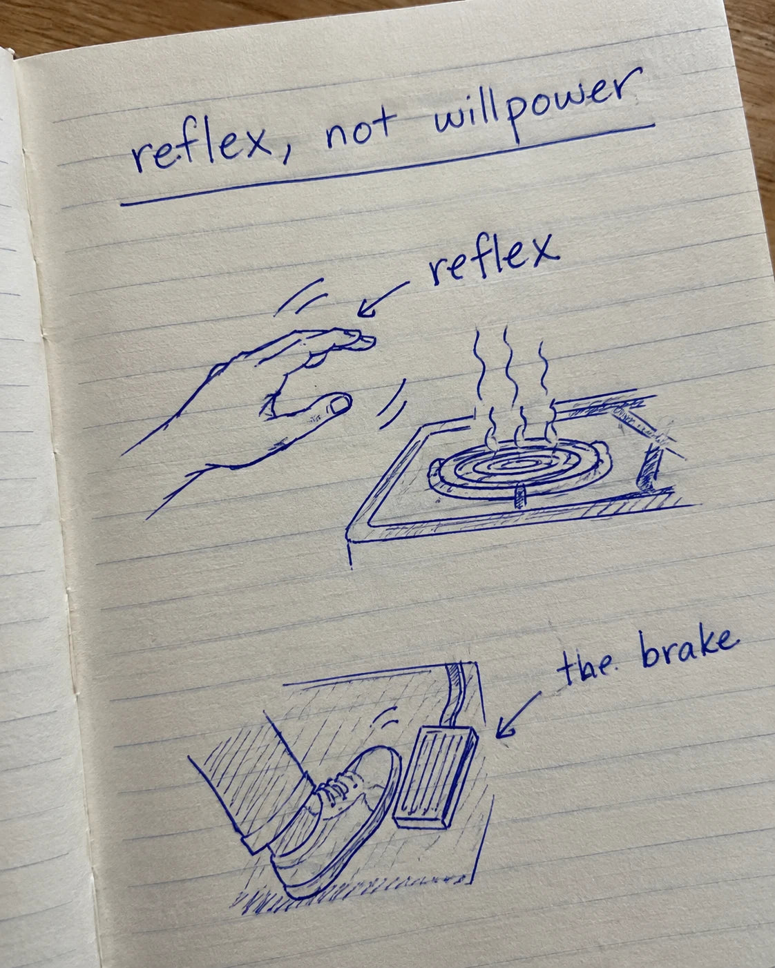 Handwritten notebook diagram showing a reflex and a brake mechanism