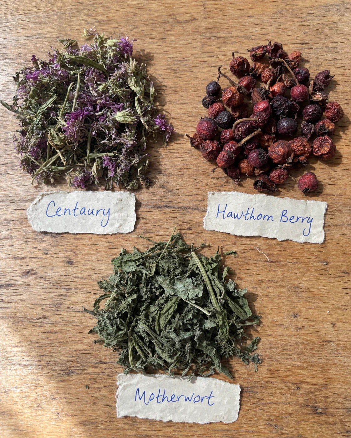 Centaury, Hawthorn Berry, and Motherwort laid out on a table with handwritten labels