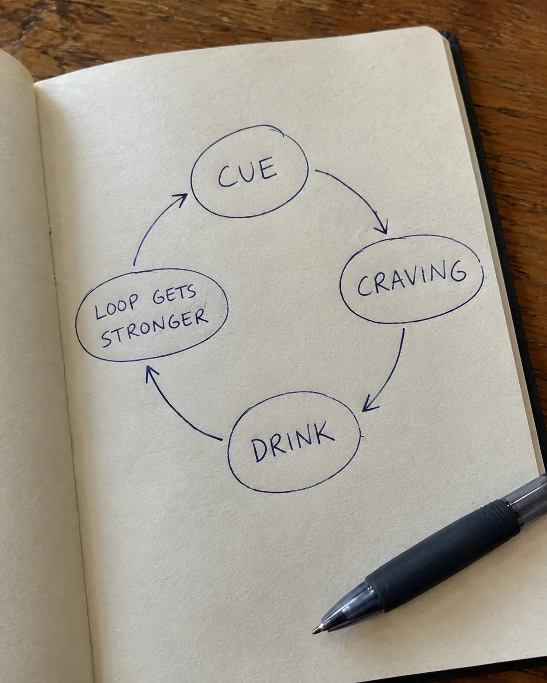 Handwritten notebook diagram showing the cue, craving, drink, loop gets stronger cycle