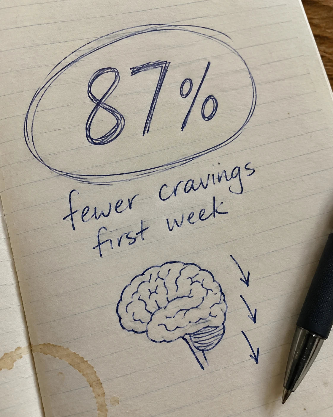 Handwritten journal page showing a brain sketch and 87 percent fewer cravings, first week