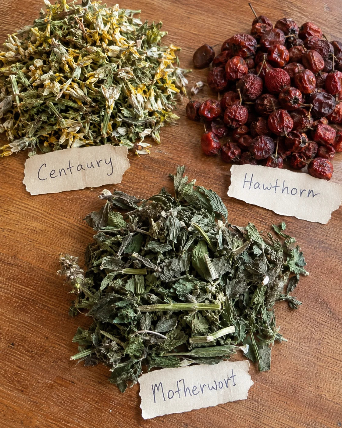 Centaury, Hawthorn, and Motherwort laid out with handwritten tags describing each plant's job