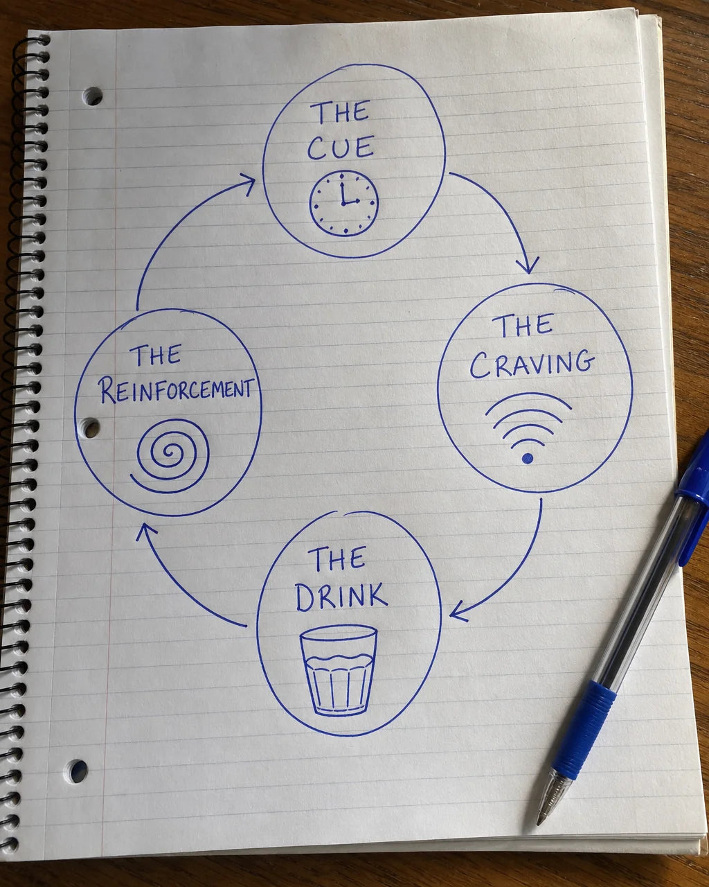 Handwritten notebook diagram of the cue, craving, drink, reinforcement craving loop