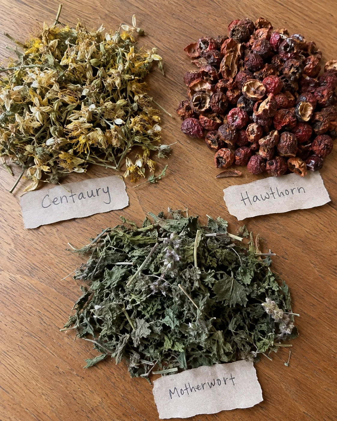 Centaury, Hawthorn, and Motherwort herbs laid out with handwritten labels
