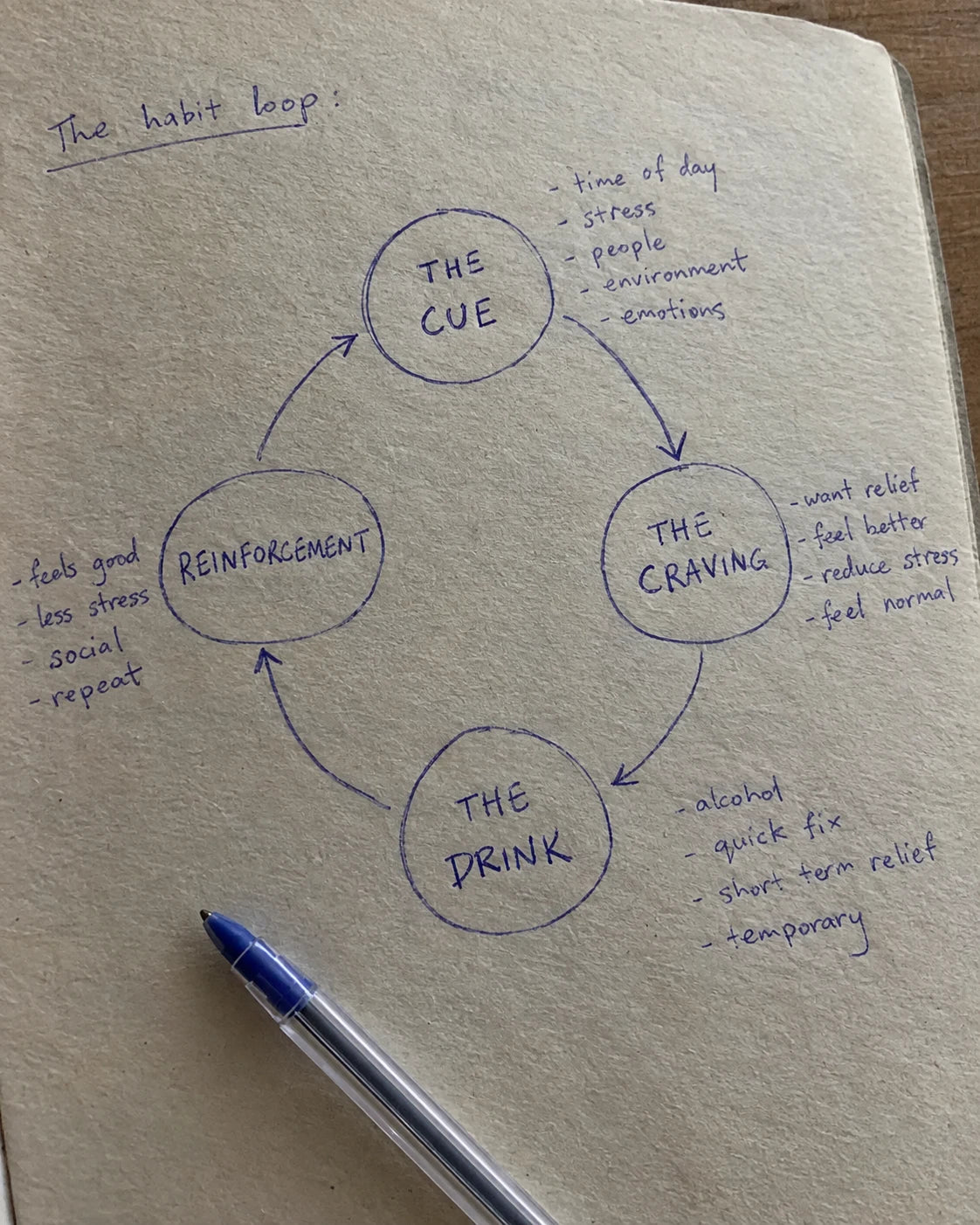 Handwritten notebook diagram of the craving loop cycle: the cue, the craving, the drink, reinforcement