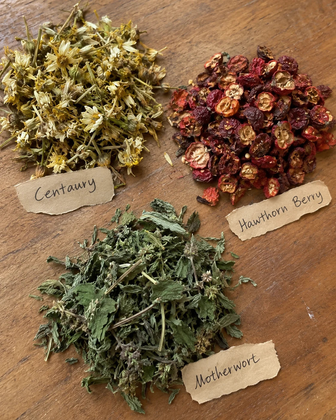 Centaury, Hawthorn Berry, and Motherwort laid out on a table with handwritten labels
