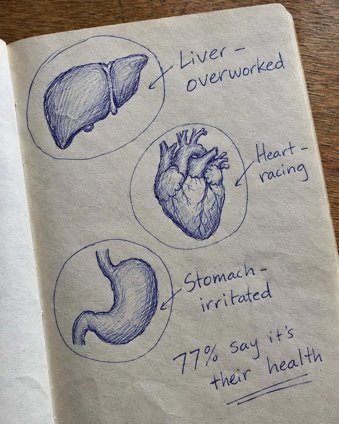 Handwritten notebook diagram labeling the liver, heart, and stomach as 3 red flags from an evening glass