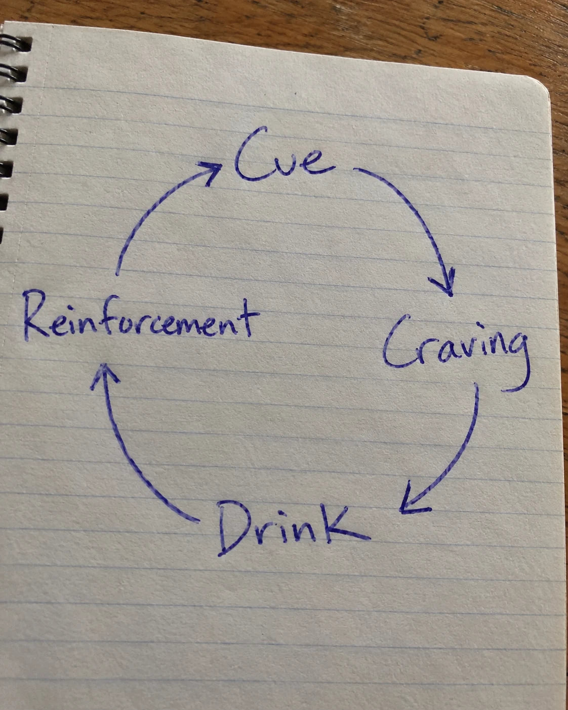 Hand-drawn notebook diagram of the craving loop: cue, craving, drink, reinforcement