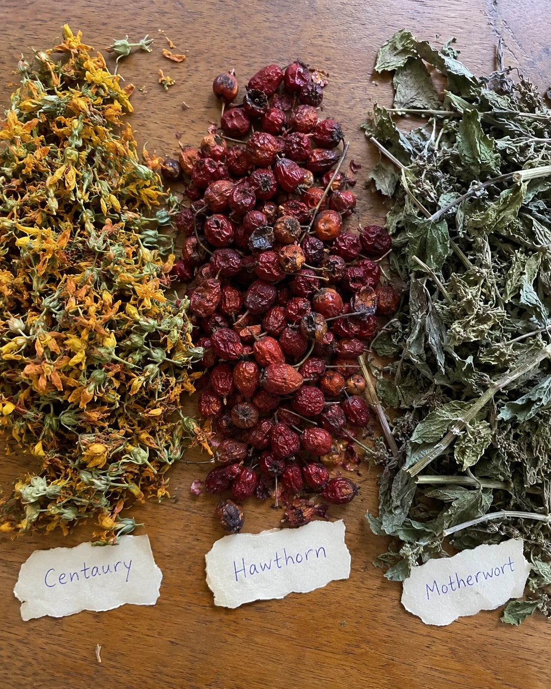 Centaury, Hawthorn, and Motherwort herbs laid out with handwritten labels