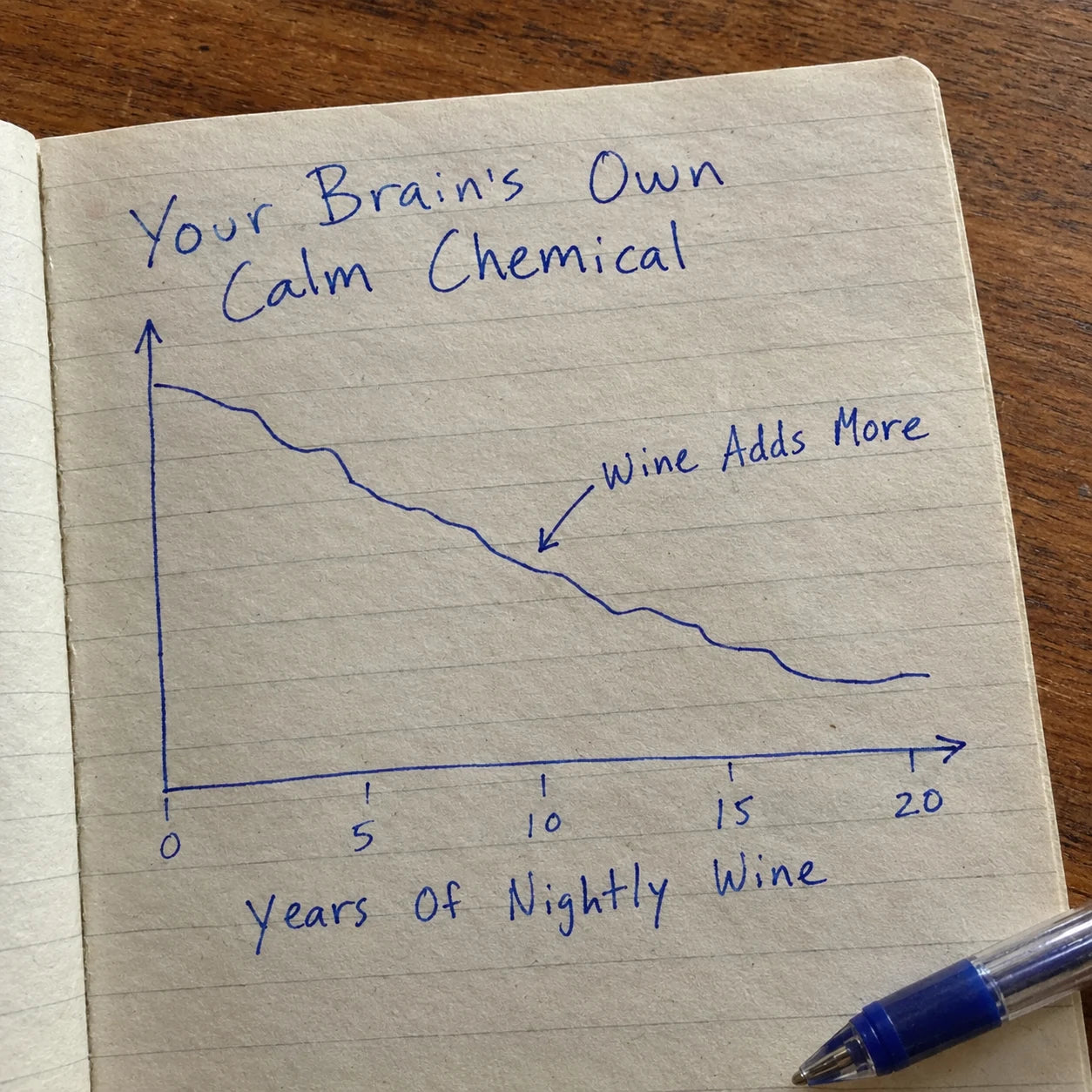 Handwritten notebook diagram showing the brain's own calm chemical declining over years of nightly wine