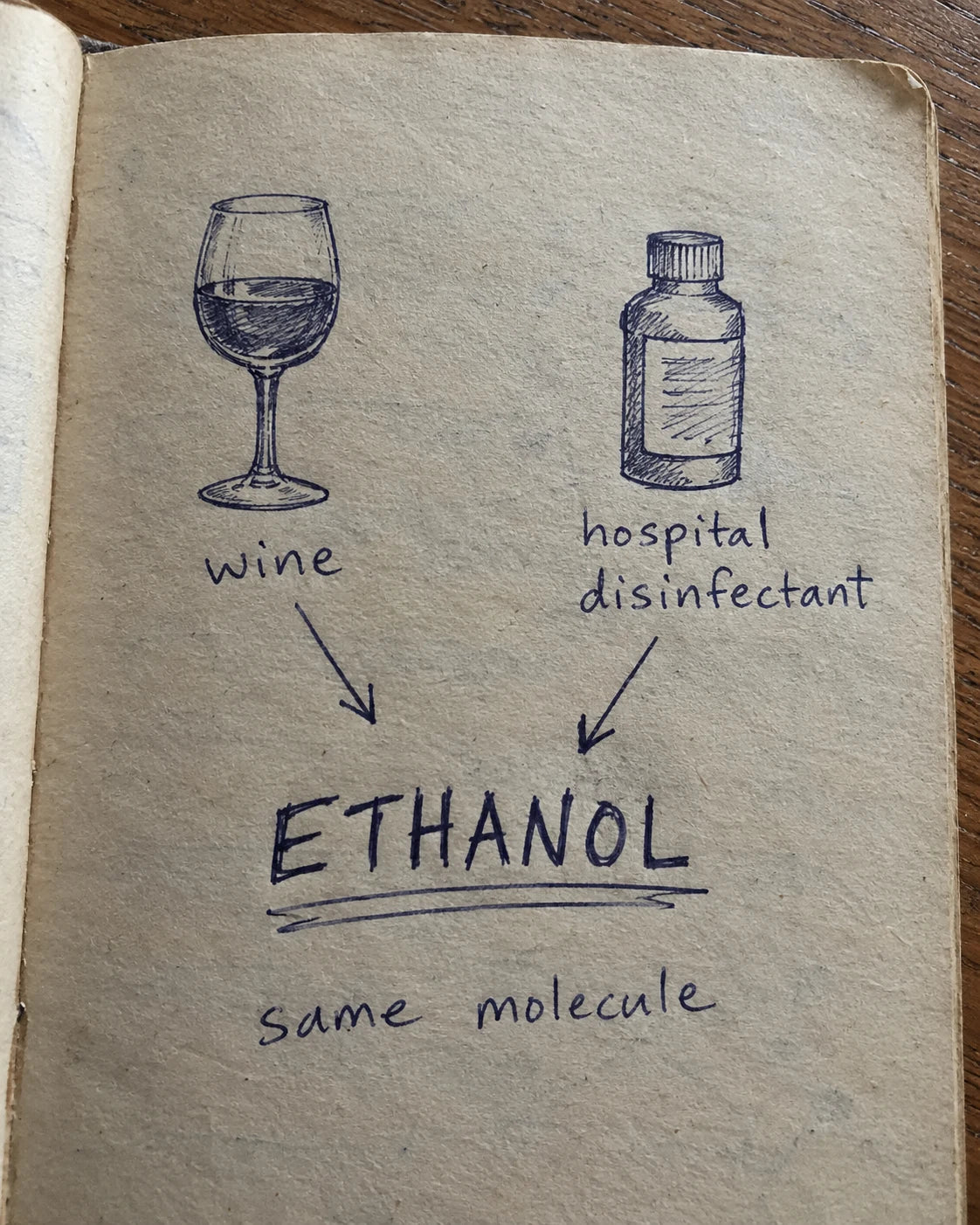 Handwritten journal page showing a wine glass and a hospital disinfectant bottle both pointing to the word ethanol, labeled same molecule