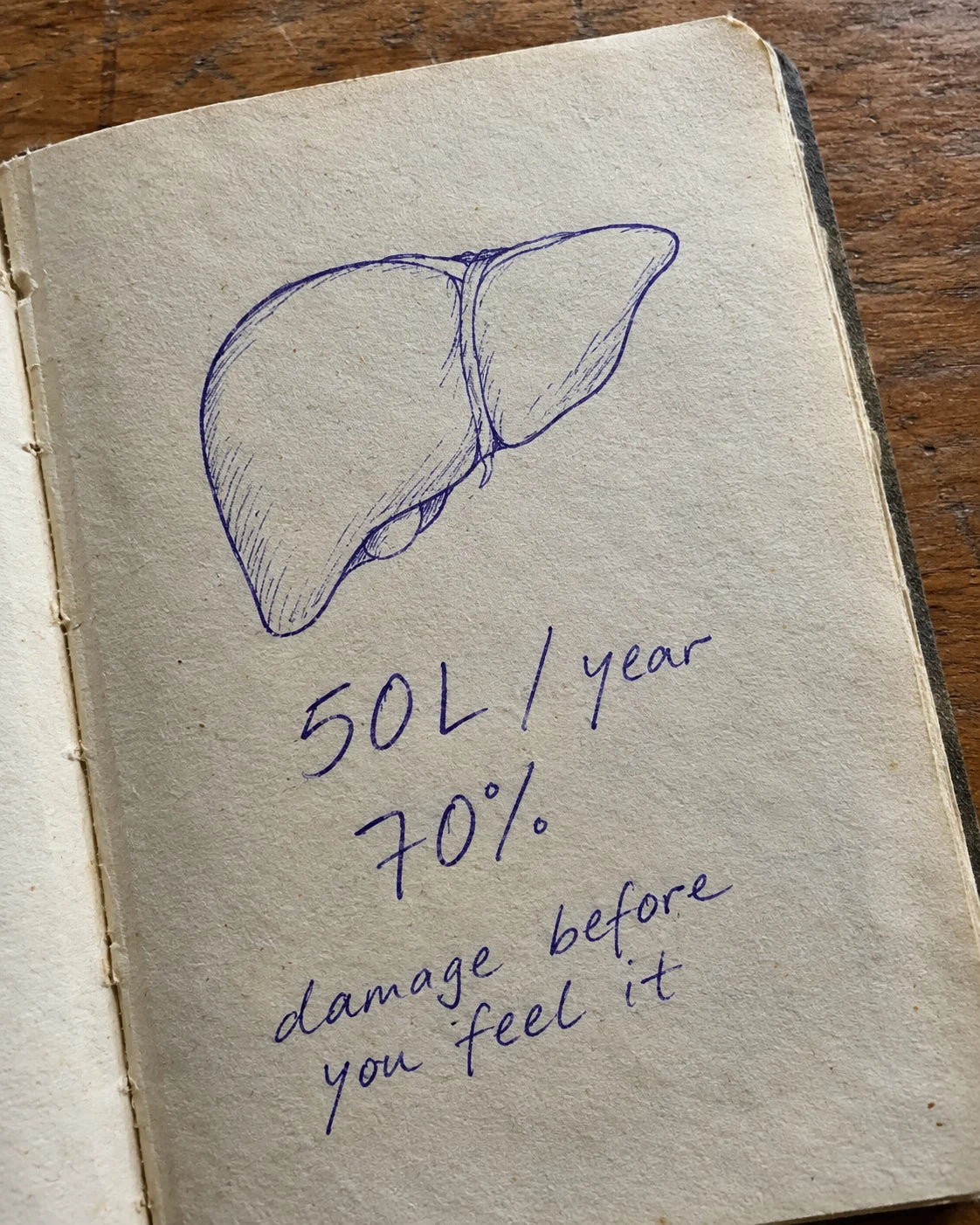 Handwritten journal page with a hand-drawn liver sketch and the numbers 50 liters per year and 70 percent