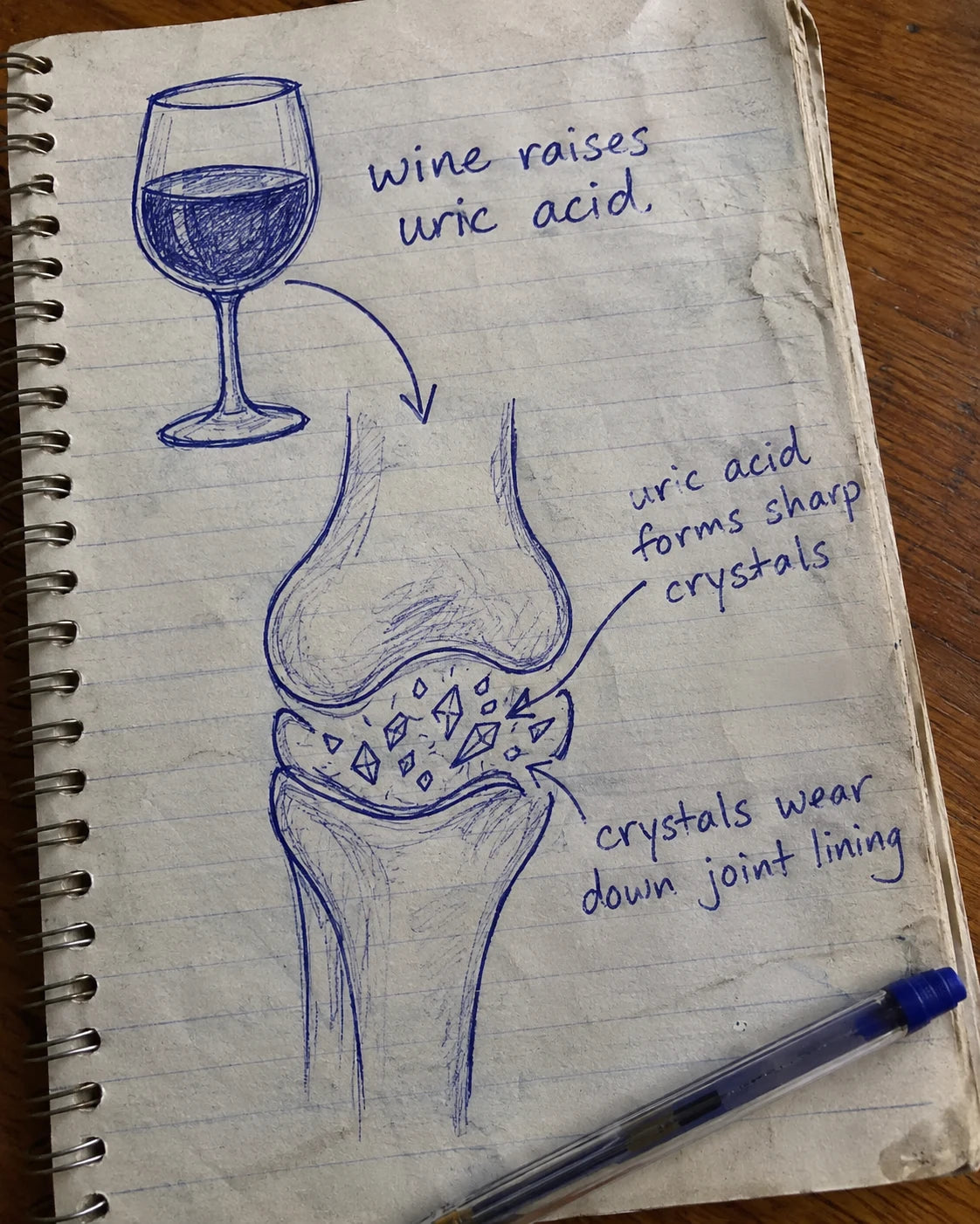 Handwritten notebook diagram showing wine raising uric acid and forming crystals in a joint