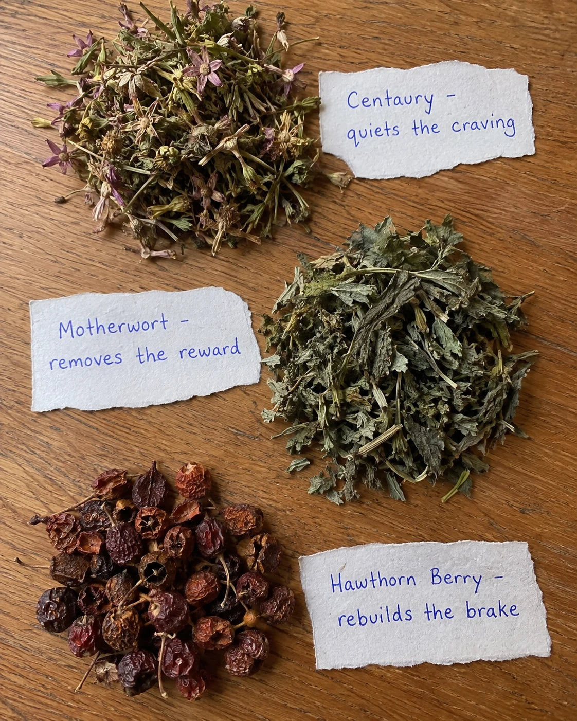 Dried Centaury, Motherwort, and Hawthorn Berry laid out with handwritten labels